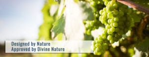 Divine Nature