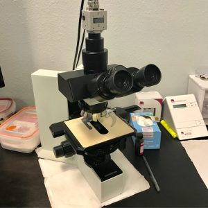Lab blood evaluation
